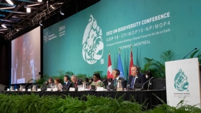 
Historic Agreement Reached at UN Environment Meeting
