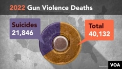 2022 gun violence deaths by type, Source: Gun Violence Archive.