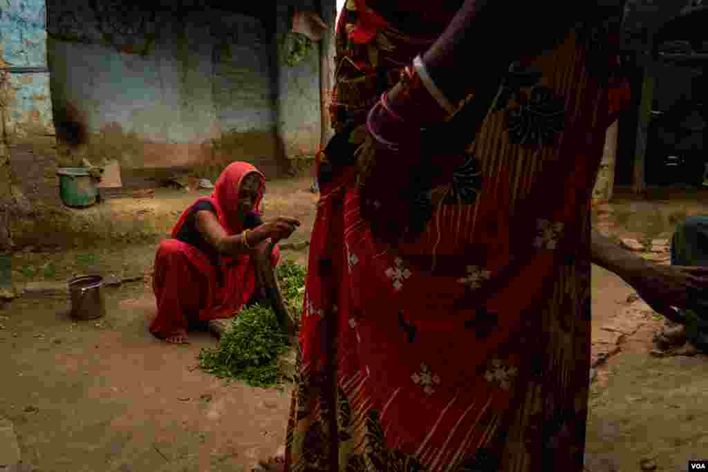 A woman cuts the grass to feed her buffalo. More than half of the families in Nepal rely on remittances from workers abroad for income, pictured in the Dhanusha district of Nepal, August 2022 (Yan Boechat/VOA)