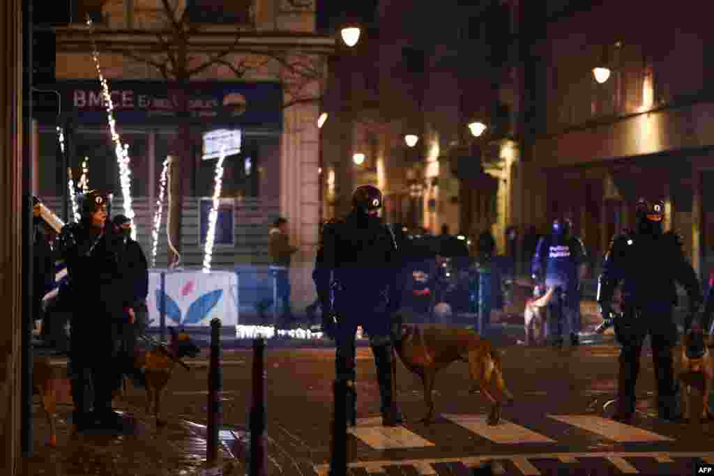 Ba pulusu na ba imbwa na eyoma na nzela na Bruxelles (Belgique), nsima na Belgique kopola 0-2 na Maroc, na match ya groupe F ya Mondial Qatar 2022, 28 novembre 2022. (Photo Kenzo TRIBOUILLARD / AFP)