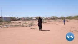 Somalia Inches Toward Famine as 7.8M Are Affected by Extreme Drought 