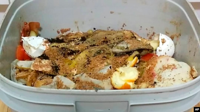 This image shows layers of kitchen scraps covered with bran inoculant in a specialized composting bucket. (bokashiliving.com via AP)