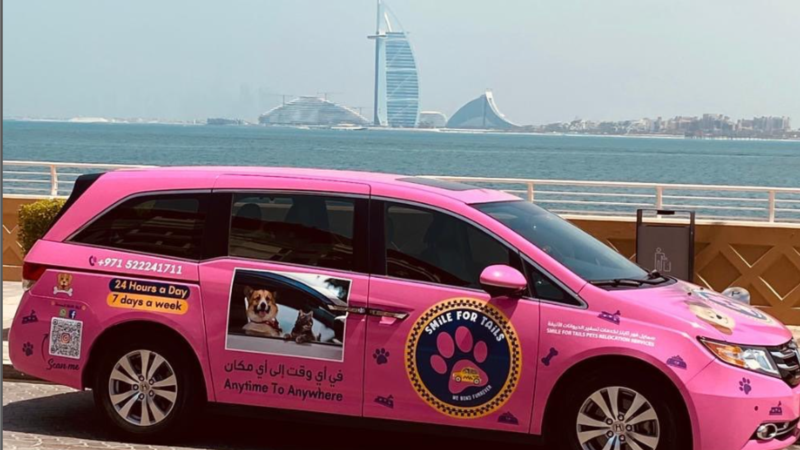 Taksi Dubai Sediakan Layanan Khusus untuk Angkut Hewan Peliharaan