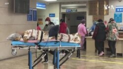 世衛組織最新疫情報告缺少中國醫院數據引發關注