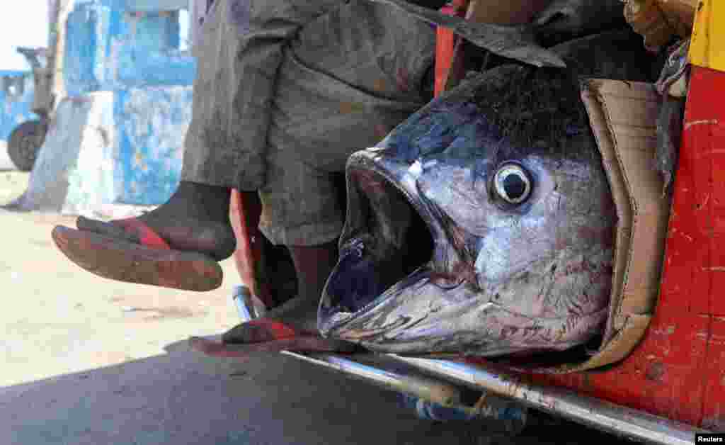 A trader rides on a rickshaw taxi loaded with fish from the beach in Hamarweyne district of Mogadishu, Somalia.