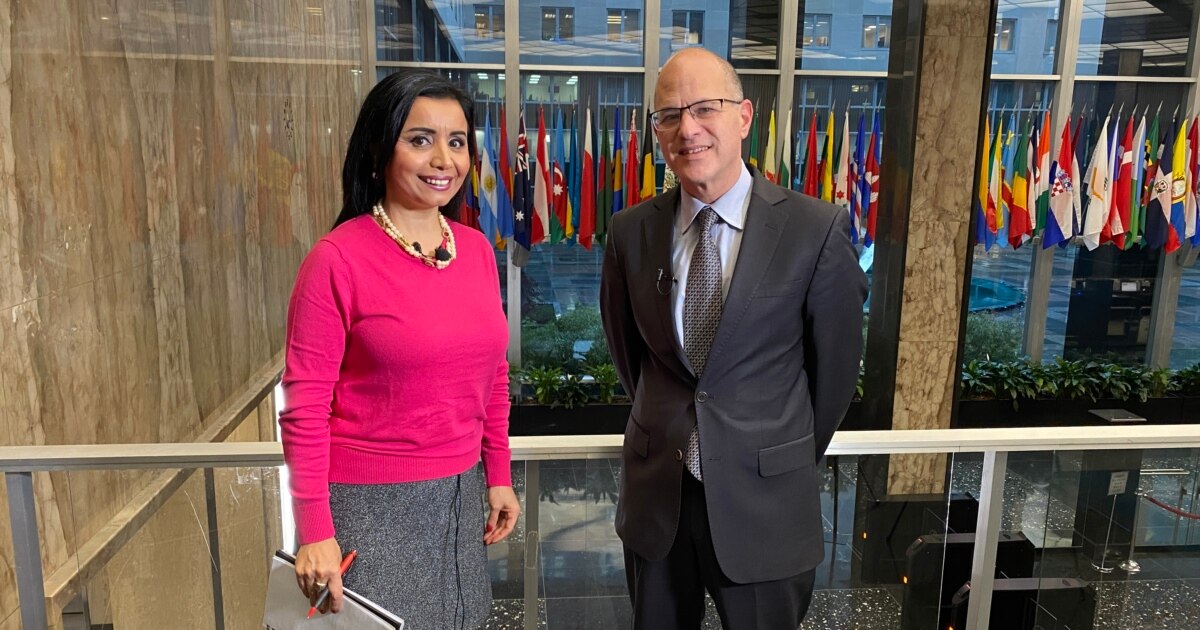 Ayolning mushuki nimadan iborat? Ayolning mushuki nimadan iborat?