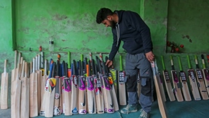 
India’s Cricket Bat Business in Danger
