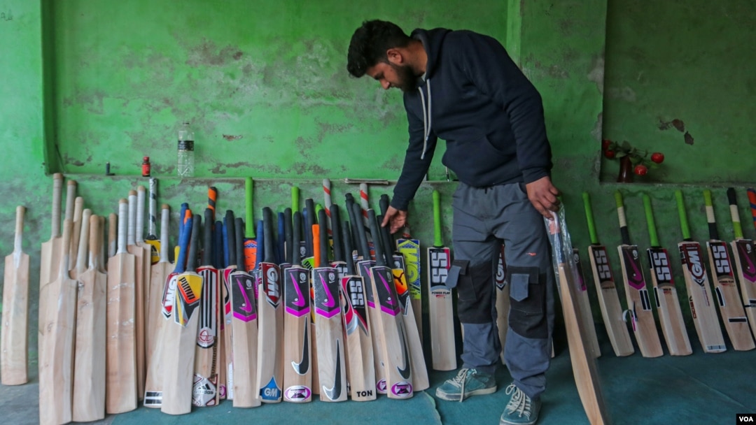 Indian Kashmir Cricket Bat Industry Faces Raw Material Shortage