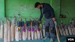 Kashmir produces around 3 million cricket bats annually. The cost of the bats made of Kashmir willow is low in comparison to English willow. (Wasim Nabi/VOA)