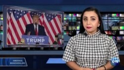 Amerika Manzaralari: Tramp, matbuot, vatandoshlar