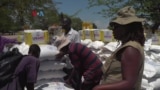 Sebagian Warga Zimbabwe Hadapi Rawan Pangan Meski Panen Gandum Melimpah