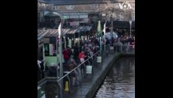 伦敦民众支持禁止一次性使用塑料用品 