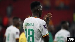 L'attaquant sénégalais n°18 Ismaila Sarr applaudit les supporters à la fin du match de football du groupe A de la Coupe du monde Qatar 2022 entre le Sénégal et les Pays-Bas au stade Al-Thumama de Doha le 21 novembre 2022.