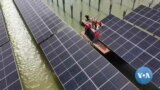 🇪🇬Waati cogoya bɛnkan COP27 ka lajɛba Egypte jamana kan min kɛra dimansiladon