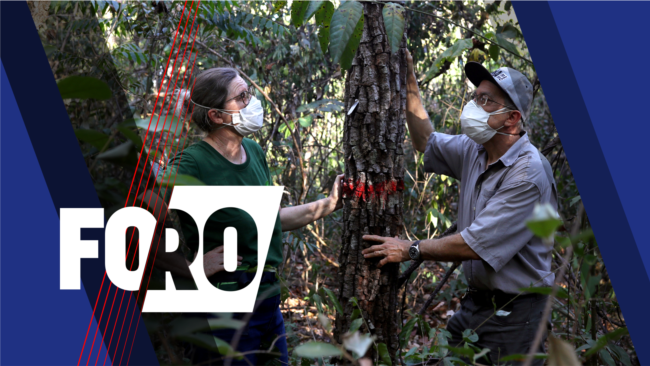Foro: Deforestación del Amazonas ¿En punto de no retorno?