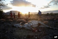 Maasai children stand beside a zebra that local residents say died due to drought, as they graze their cattle at Ilangeruani village, near Lake Magadi, in Kenya, on Nov. 9, 2022.