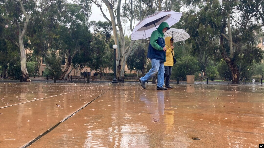Pejalan kaki membawa payung saat berjalan di tengah hujan di Stanford, California, Sabtu, 31 Desember 2022. (Foto: AP/Jeff Chiu)