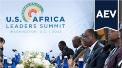 L'Amérique et vous : le sommet sur l'Afrique à Washington