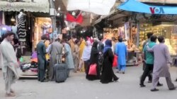 په پېښور کې روزګارکوونکو سړو او ښځو ته د کاروبار پېل کولو په موضوع غونډه شوې ده