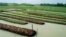 ভাসমান কৃষি