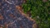 Una zona quemada del bosque tropical de la Amazonia en Prainha, en el estado de Pará, Brasil, en una foto del 23 de noviembre de 2019. 