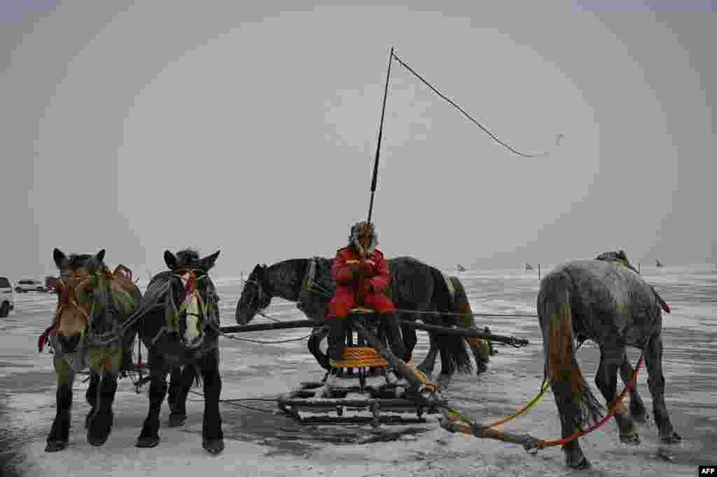 Рибар удира со камшик додека коњите управуваат со уред поврзан со рибарска мрежа за време на зимскиот фестивал за риболов на езерото Чаган во Сонгјуан, во кинеската провинција Џилин.