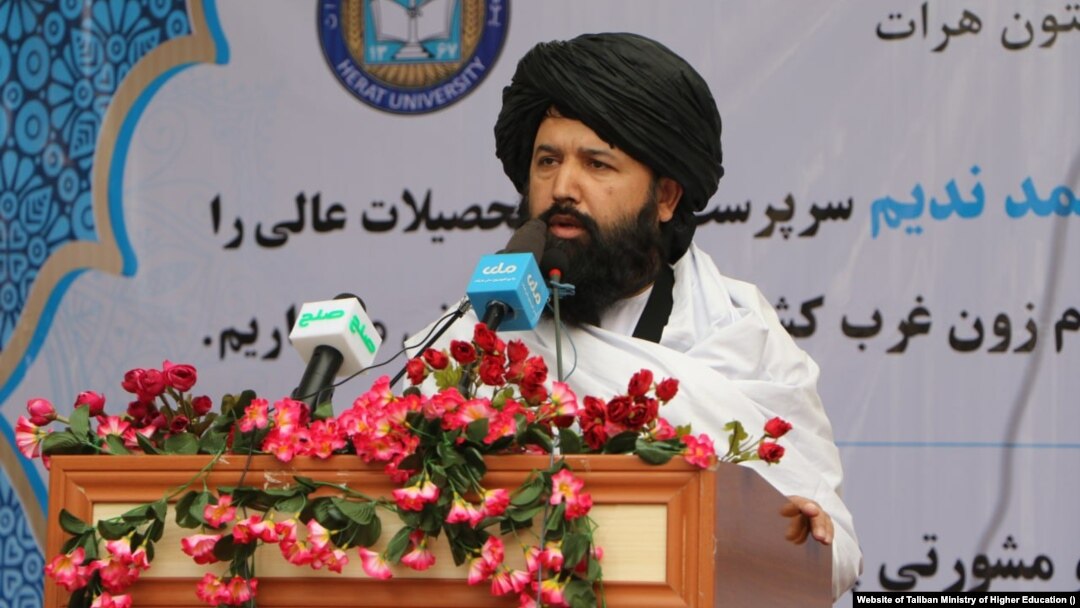 Neda Mohammad Nadeem