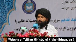 ندا محمد ندیم،‌ سرپرست وزارت تحصیلات عالی طالبان