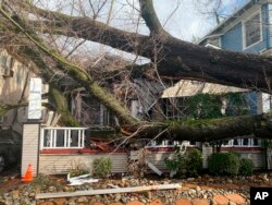 Drvo obrušeno na kuću u Sacramentu, 8. januar 2023.