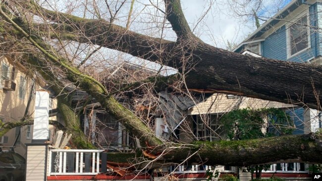 Un árbol se derrumbó y arrancó la acera dañando una casa en Sacramento, California, EEUU, el 8 de enero de 2023.
