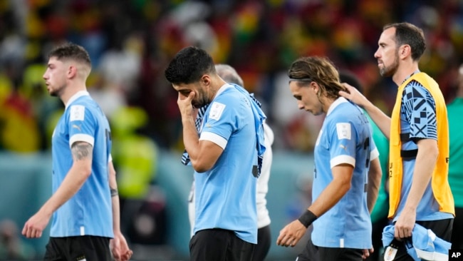 Uruguay's Luis Suarez, second from left, cries after the World Cup match between Ghana and Uruguay, at the Al Janoub Stadium in Al Wakrah, Qatar, Dec. 2, 2022. Uruguay won the match but was eliminated from the tournament after South Korea's victory over Portugal.