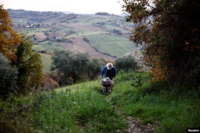 Fabrizio Cardinali, 72, carries an oil container from his house in the woods of the small town of Cupramontana, Ancona, Marche, Italy, December 12, 2022. (REUTERS/Yara Nardi)