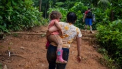 Aumenta el número de pasos de inmigrantes por la selva del Darién