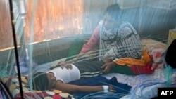 বাংলাদেশ এডিস মশাবাহিত ডেঙ্গু রোগে আক্রান্ত রোগী হাসপাতালে চিকিৎসা নিচ্ছেন। 