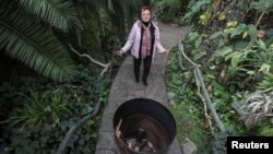 Liudmyla Buiun, head of the Tropical and Subtropical Plants Department of Kyiv's National Botanical Garden, stands near a barrel with firewood used to heat a greenhouse, amid power outages caused by Russian strikes on energy infrastructure, in Kyiv, Ukraine, Dec. 22, 2022.