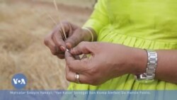 Wasu Kasashen Afirka Sun Koma Dogara Ga Hatsi Da Suke Iya Samarwa A Kasashensu