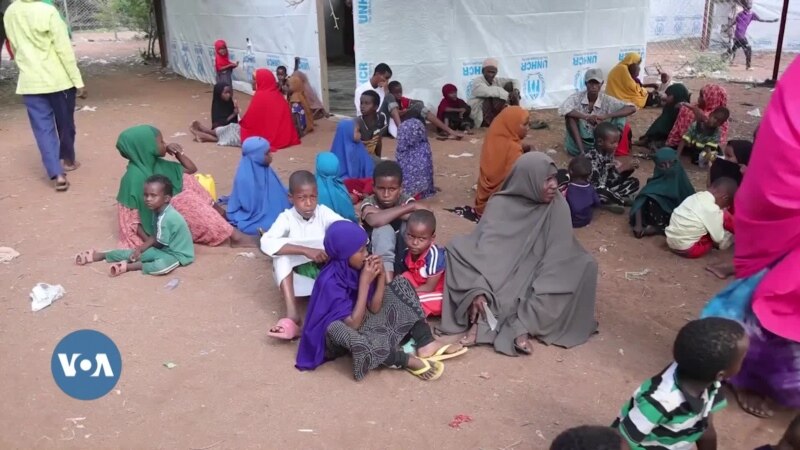 Une vague de réfugiés climatiques somaliens fait son entrée au Kenya