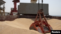 FILE - Wheat grain from Ukraine is seen on the docks in Djibouti, Aug. 30, 2022. Malawi is working to harvest its own wheat, to mitigate the impact of the Russia-Ukraine conflict on grain imports to Africa. (Hugh Rutherford/World Food Program/Handout via Reuters)
