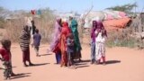 Pengungsi di Somaliland Rentan Terhadap Serangan Berbasis Jender