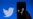 Musk dice que renunciará a jefatura de Twitter cuando encuentre un reemplazo