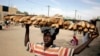 Du Sahel à la Corne de l'Afrique, la faim progresse inlassablement