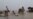 Floods in Philippines Leave 51 Dead, Over a Dozen Missing