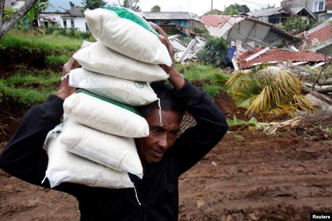 Seorang sukarelawan membopong karung beras untuk dibagikan kepada warga desa yang terdampak gempa di Serampad, Cianjur, Jawa Barat, 26 November 2022.(Antara Foto/Wahyu Putro A/ via REUTERS).