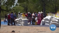 Some Zimbabweans Need Food Aid Despite Bumper Wheat Harvest