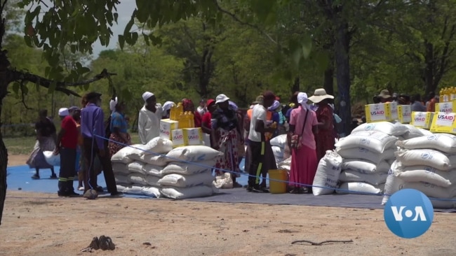 Some Zimbabweans Need Food Aid Despite Bumper Wheat Harvest Some Zimbabweans Need Food Aid Despite Bumper Wheat Harvest