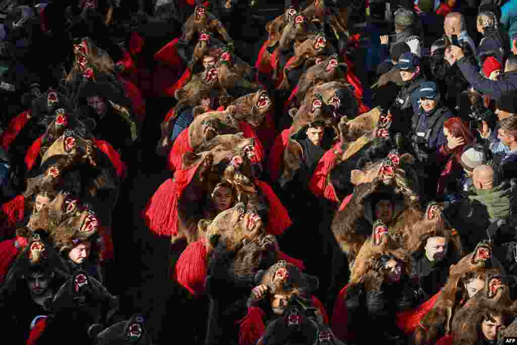 People wearing bearskin costumes march during the Bearskin Parade in Comanesti, Romania.