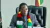 President Emmerson Mnangagwa