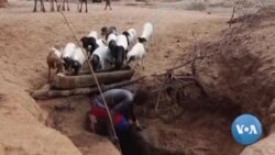 Kenyan Herders Learn Coding for More Sustainable Jobs