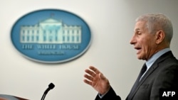 앤서니 파우치 미국 국립알레르기·전염병연구소(NIAID) 소장이 22일 백악관에서 기자회견을 했다.