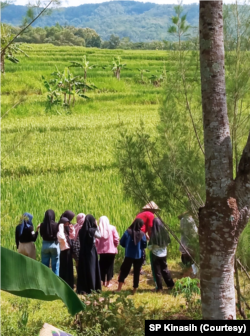 Keengganan anak muda pada sektor pertanian dikhawatirkan menyebabkan Indonesia mengalami krisis di sektor ini pada masa depan. (Foto: Courtesy: Aniati/SP Kinasih)